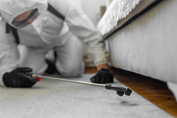 Professional Bed Bug Control technician working in Prichard, AL